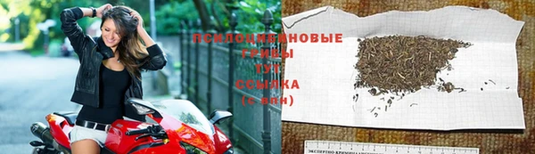 амф Балахна