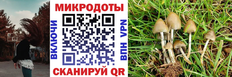 Галлюциногенные грибы мицелий  MEGA онион  Верхоянск 